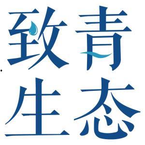 致青在线观看,青春记忆里的光影之旅